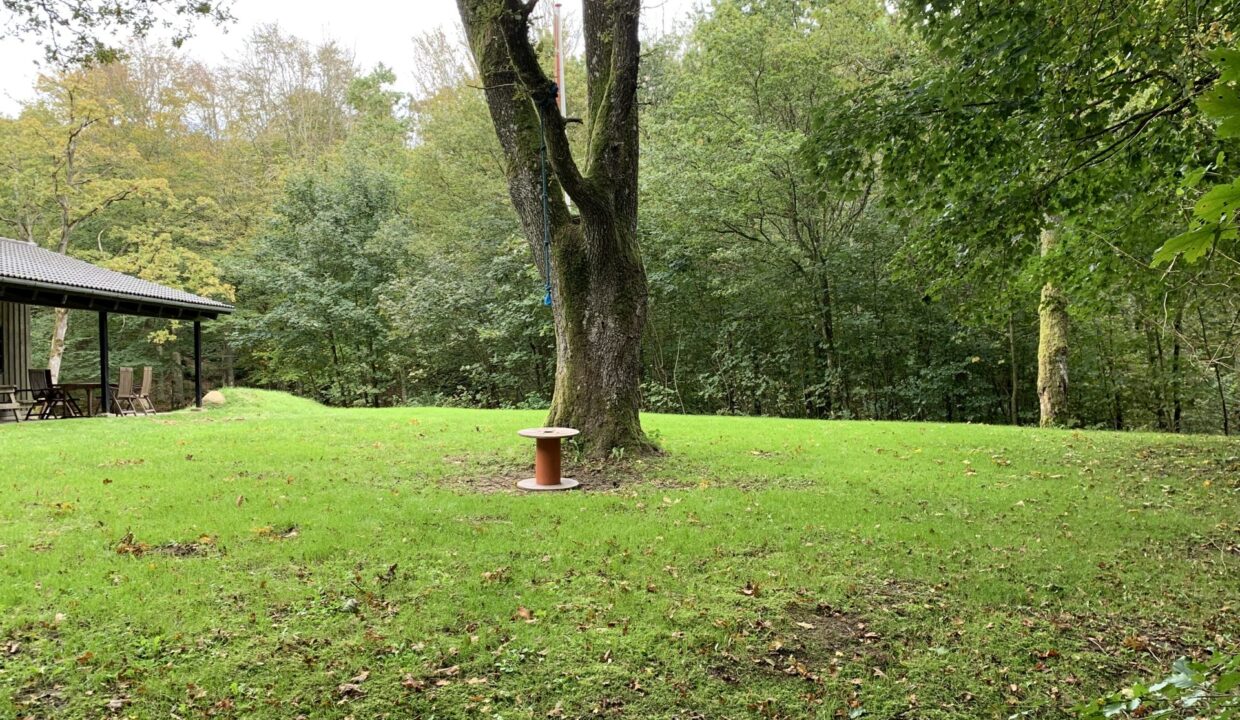 17 20201017_105629751_iOS