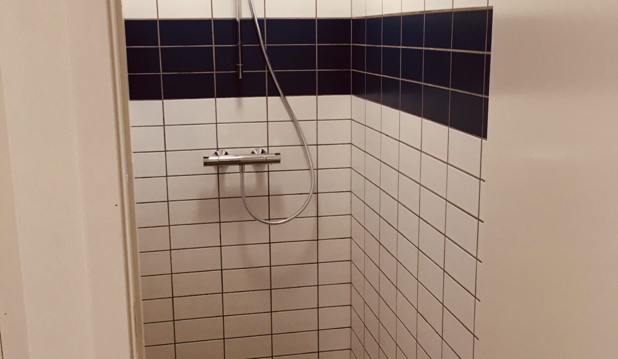 20200312_154237694_iOS