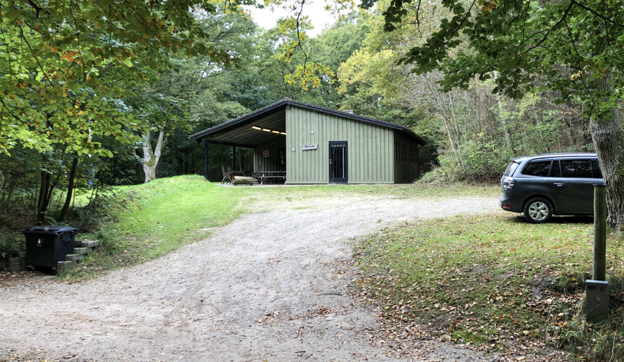 20201017_110145952_iOS