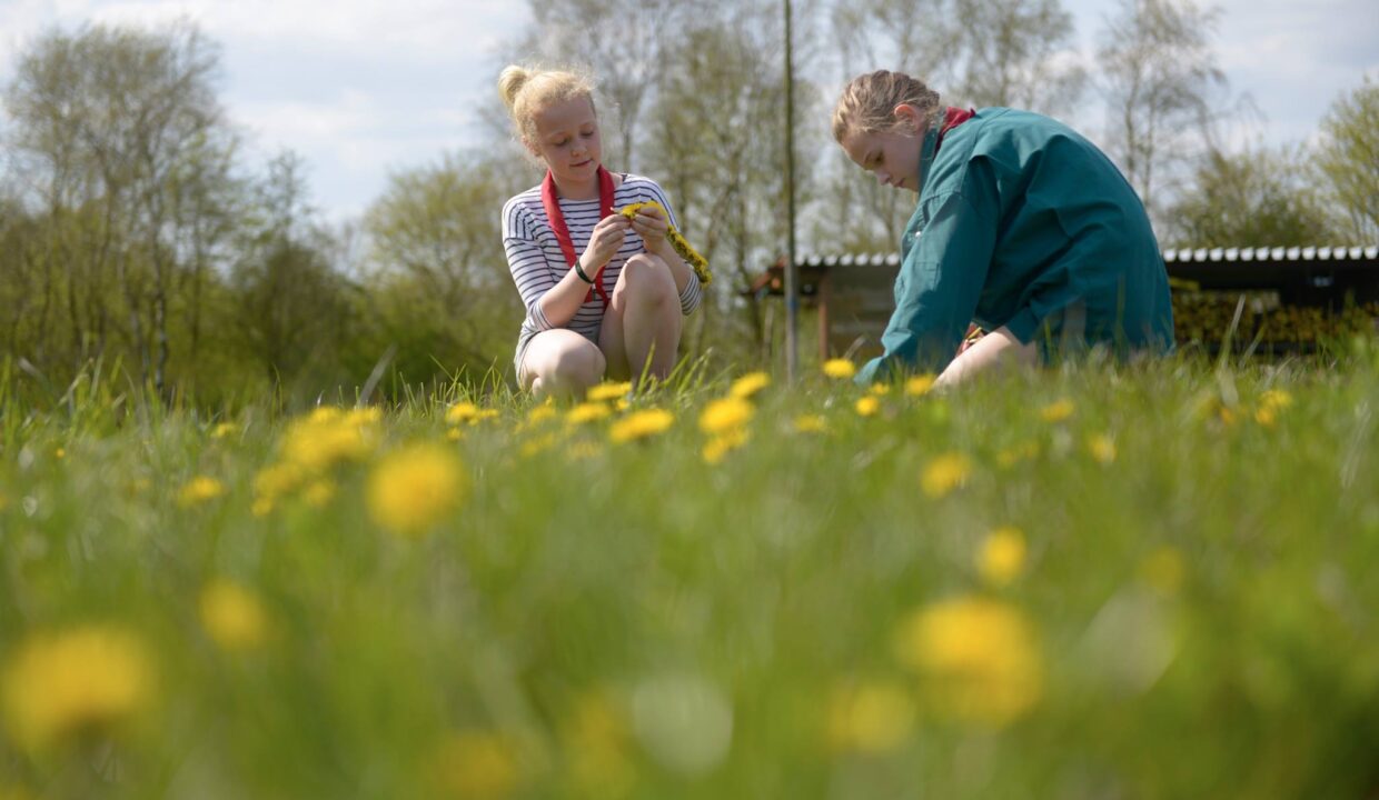 20991498_10155589406509687_1736731721_o