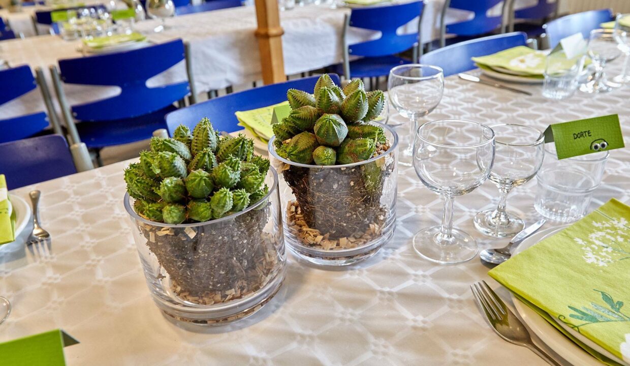 20991566_10155589391579687_2086282458_o