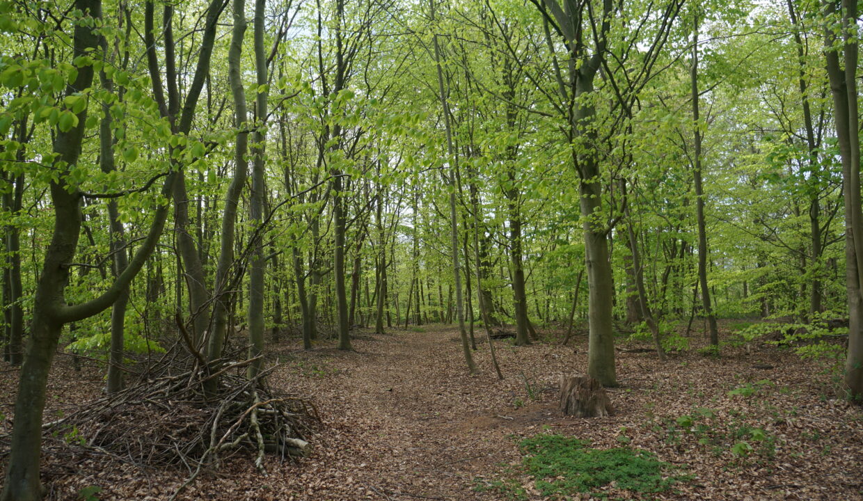 057161EB-D1C2-4C53-B246-82FA91764983