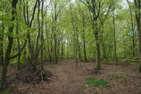 057161EB-D1C2-4C53-B246-82FA91764983