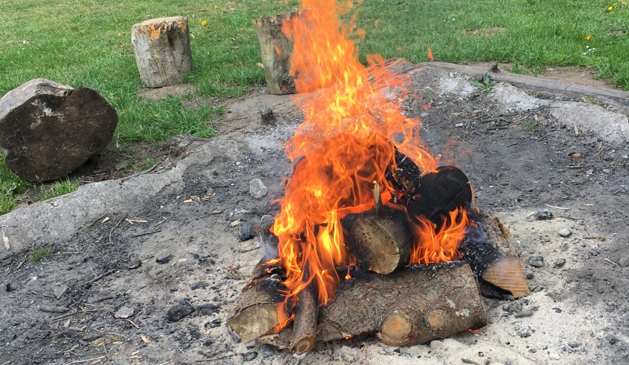 07A74056-6DE1-43D2-82AE-F486A68B137D