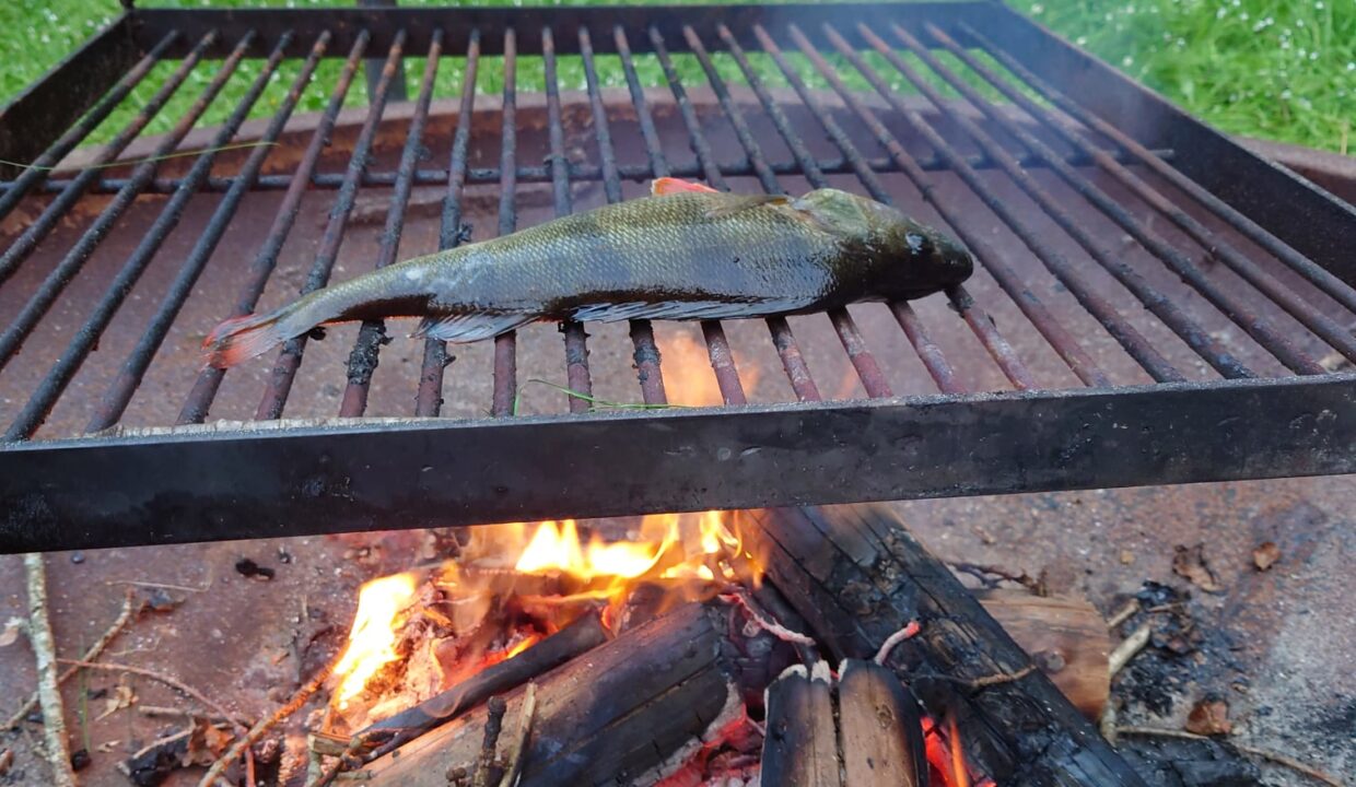 198413948_113517100942475_1443028555537102054_n