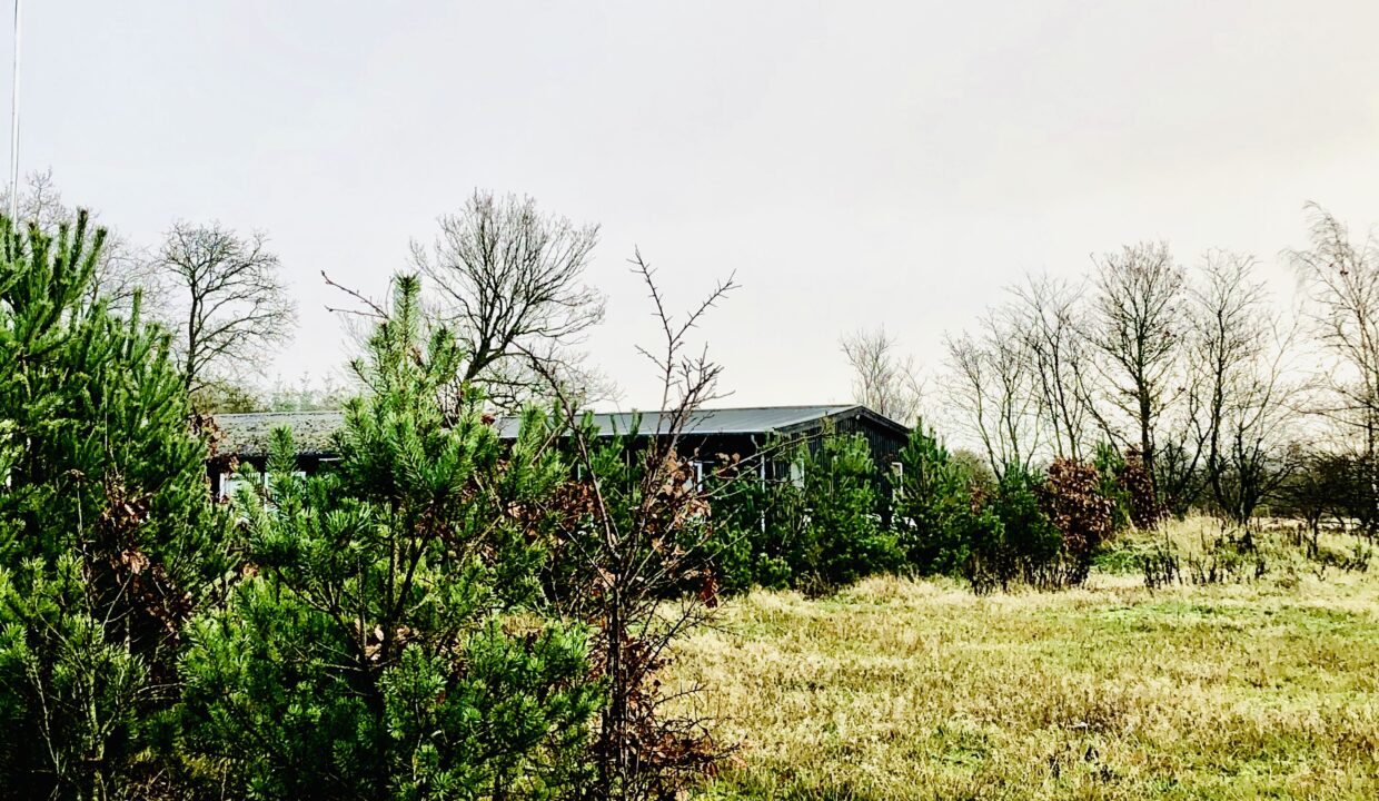 1C39E21F-D6B2-430D-B51C-663BEB867065