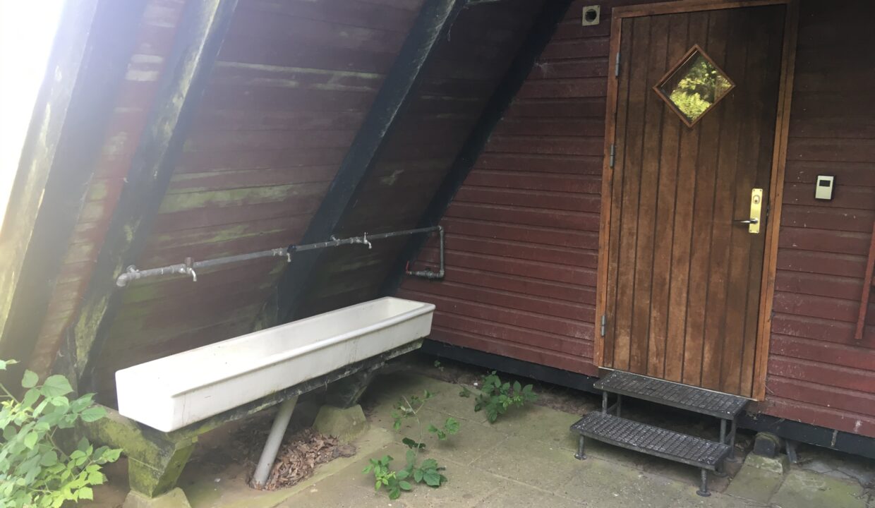 20190625_145745339_iOS