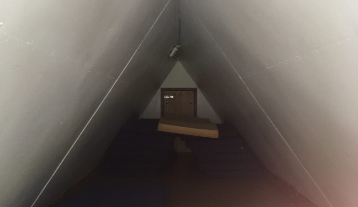 20190625_150226079_iOS