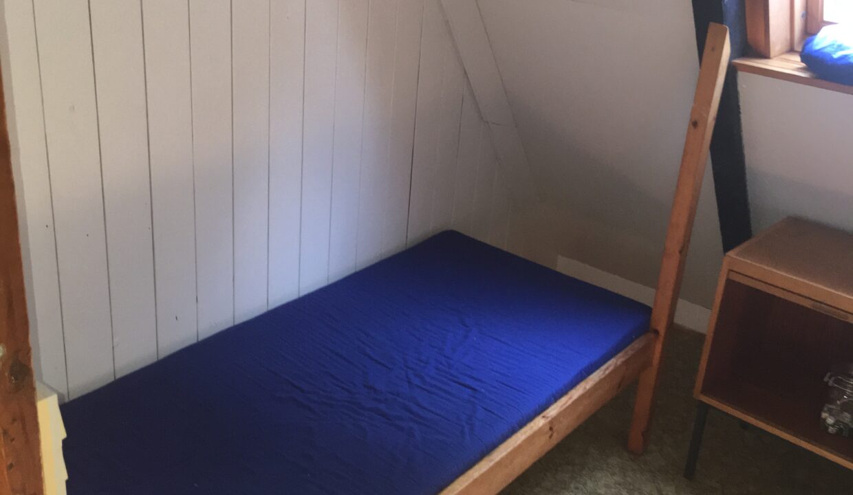 20190625_150414232_iOS