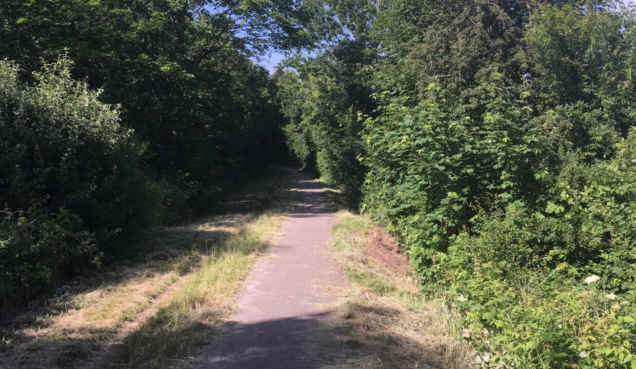 20190625_150600725_iOS