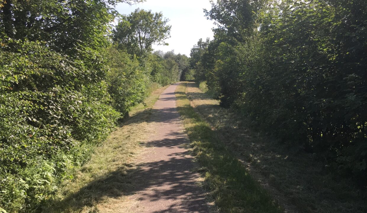 20190625_150605428_iOS