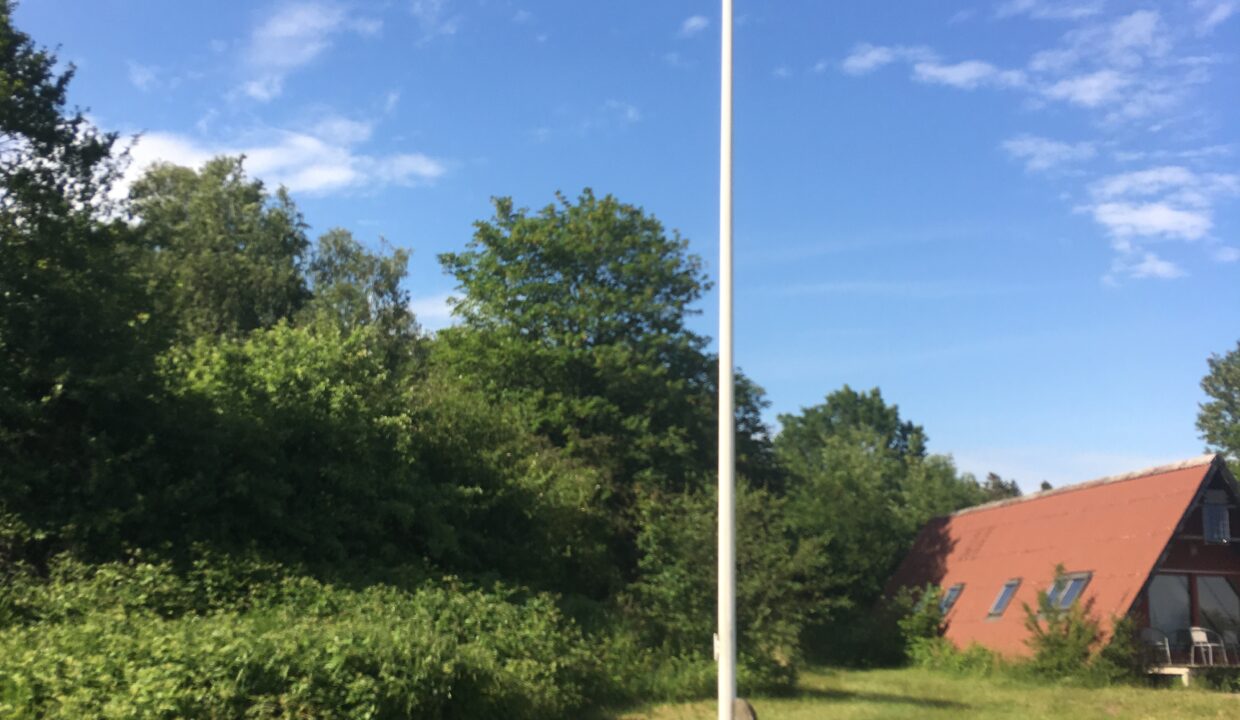 20190625_150834690_iOS