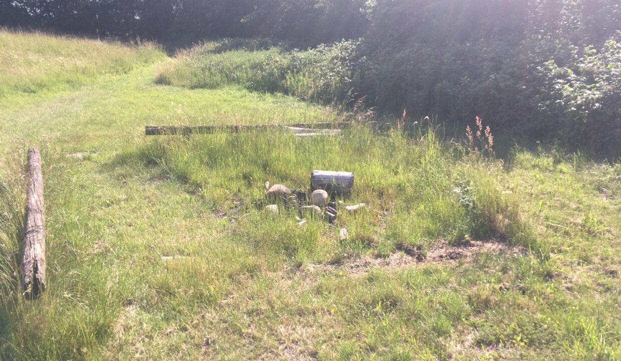 20190625_150850969_iOS