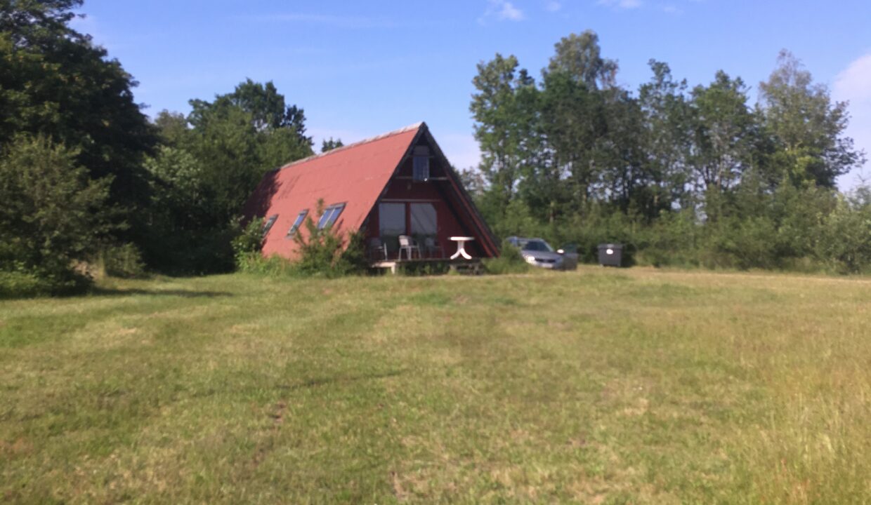 20190625_150913452_iOS