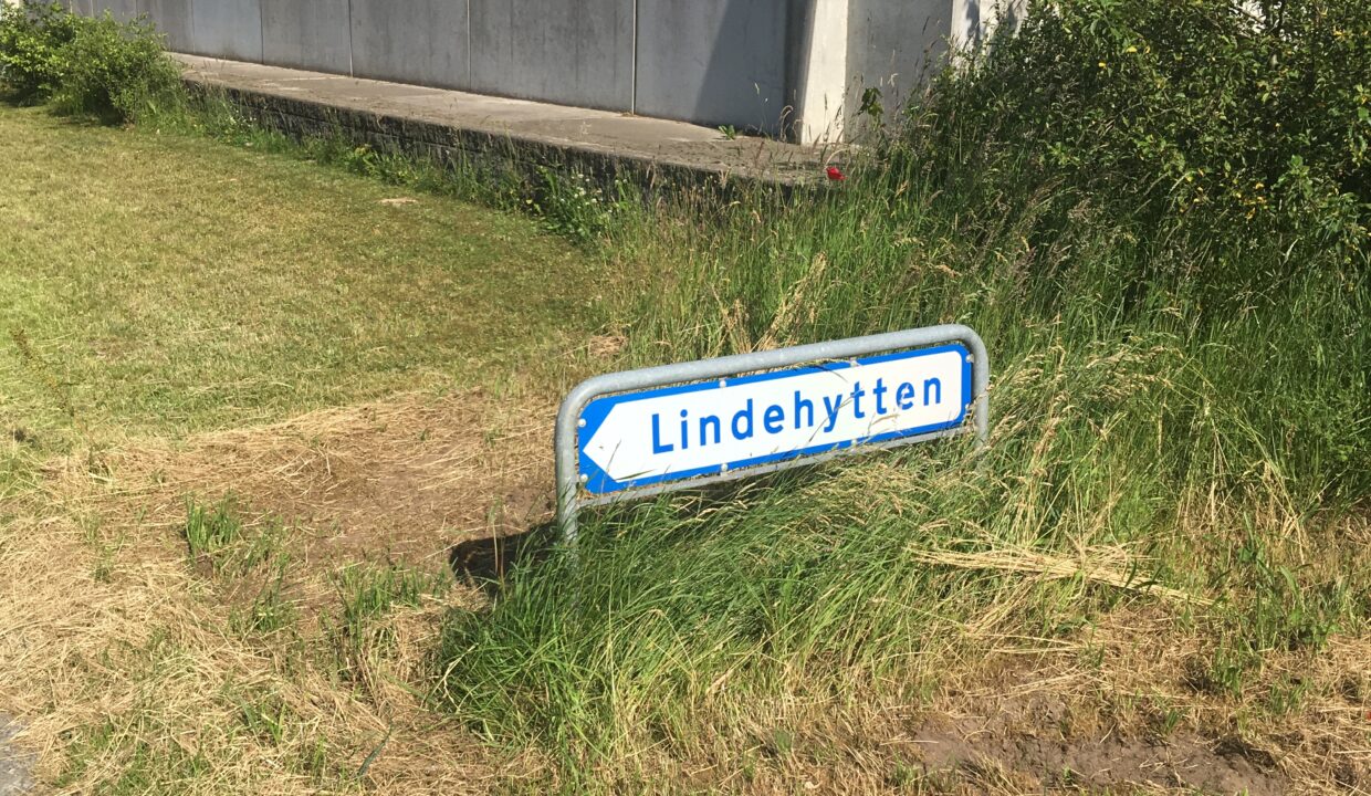 20190625_151317565_iOS