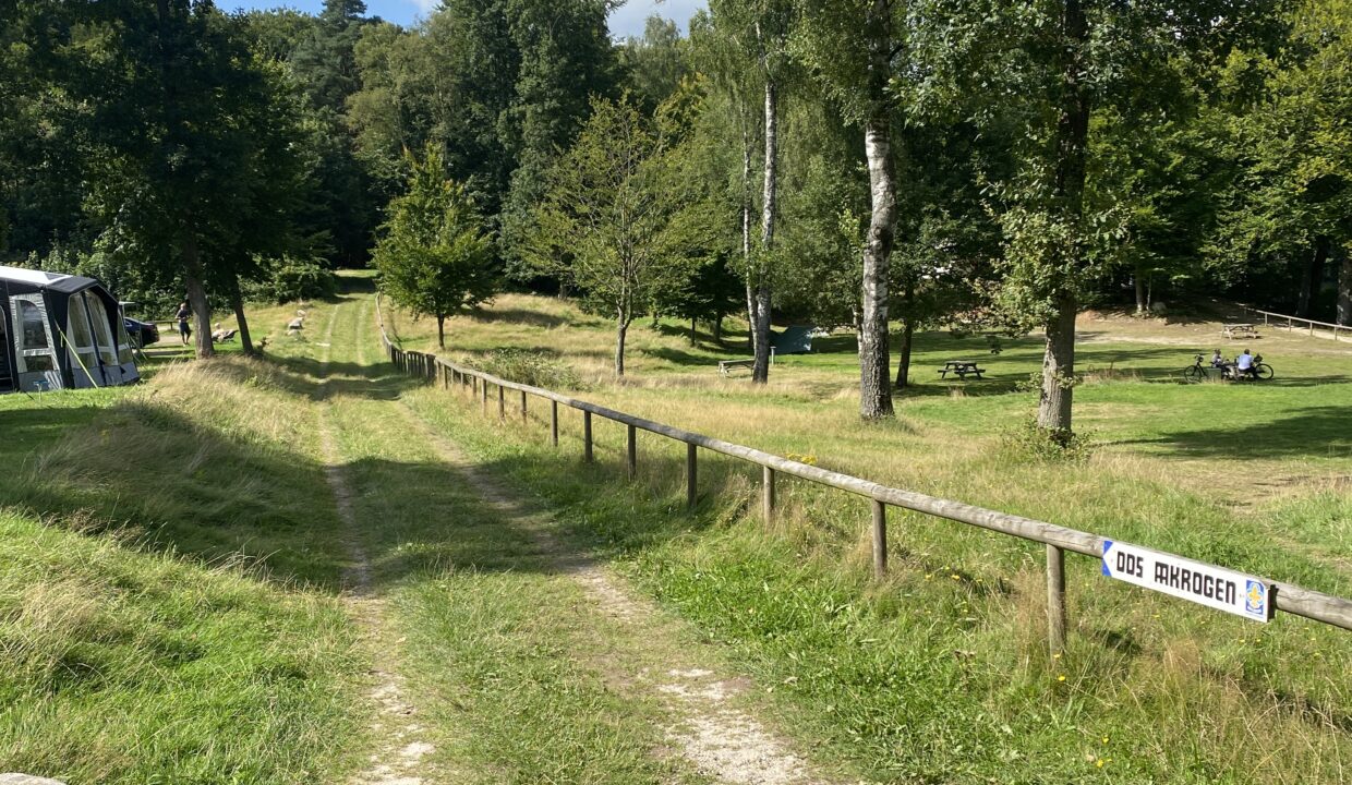 20210822_114441690_iOS