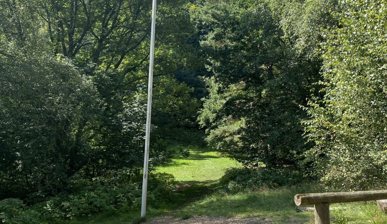 20210822_114611141_iOS