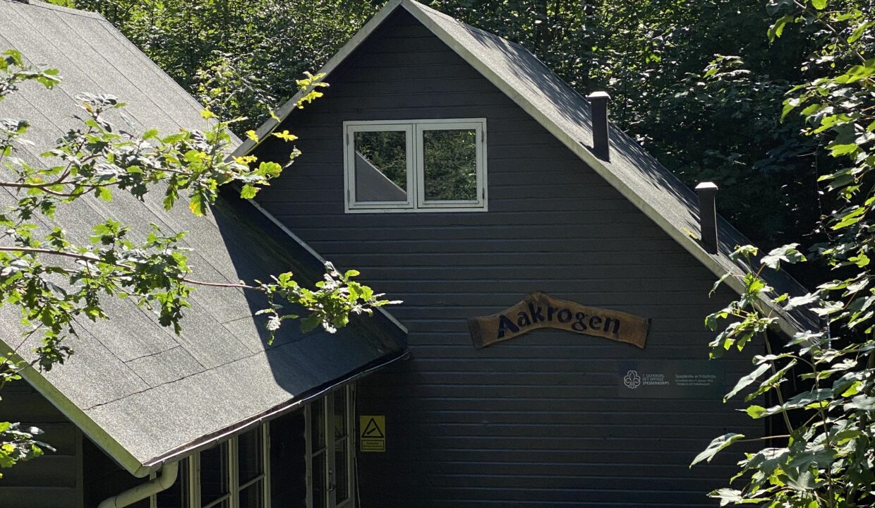 20210822_114626620_iOS