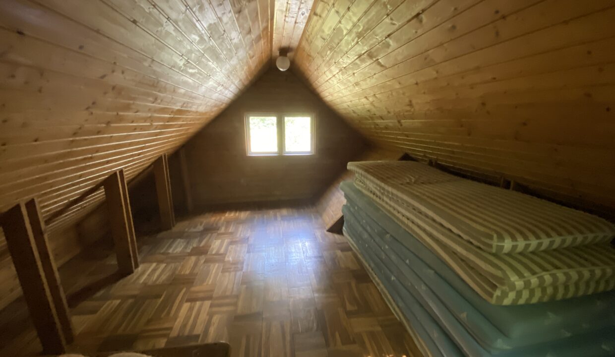 20210822_114946313_iOS