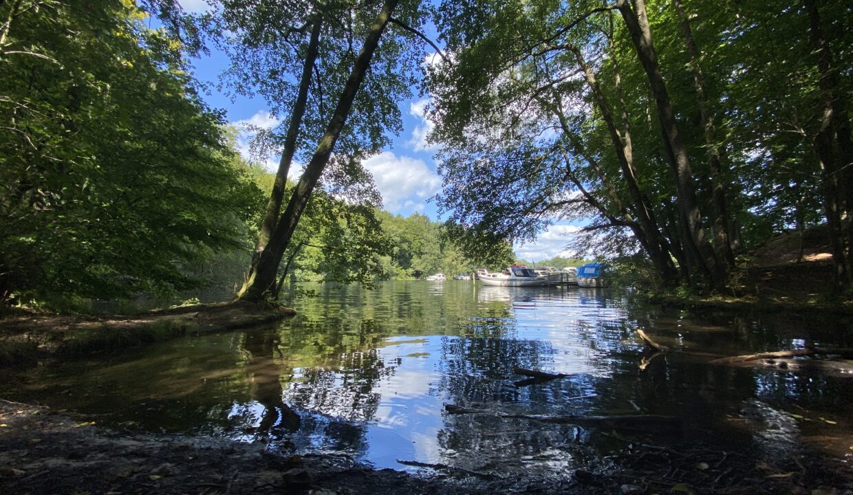 20210822_115302962_iOS