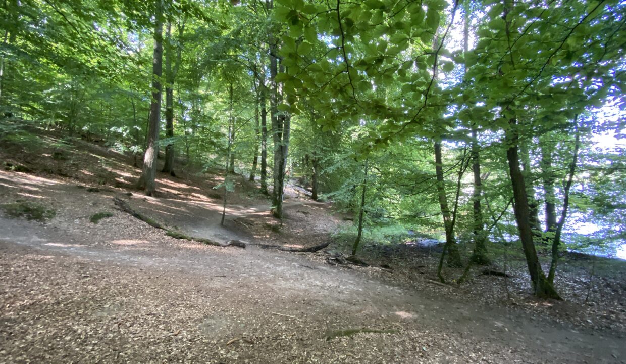 20210822_115346314_iOS