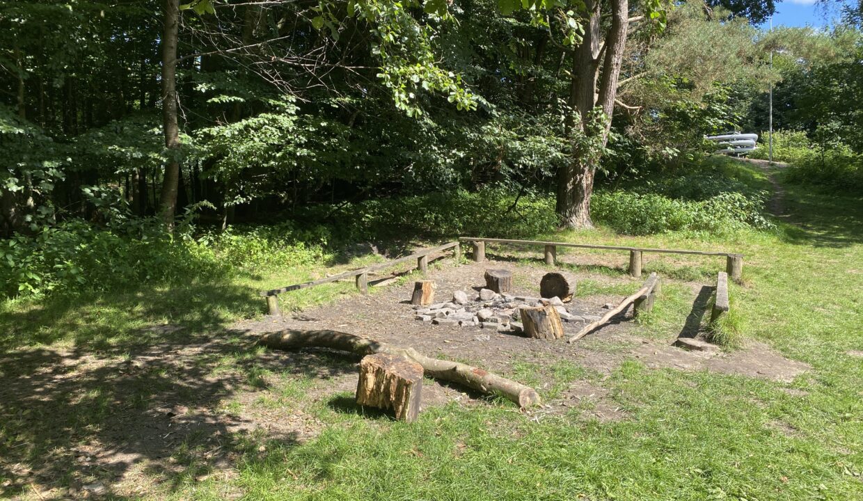 20210822_115443885_iOS