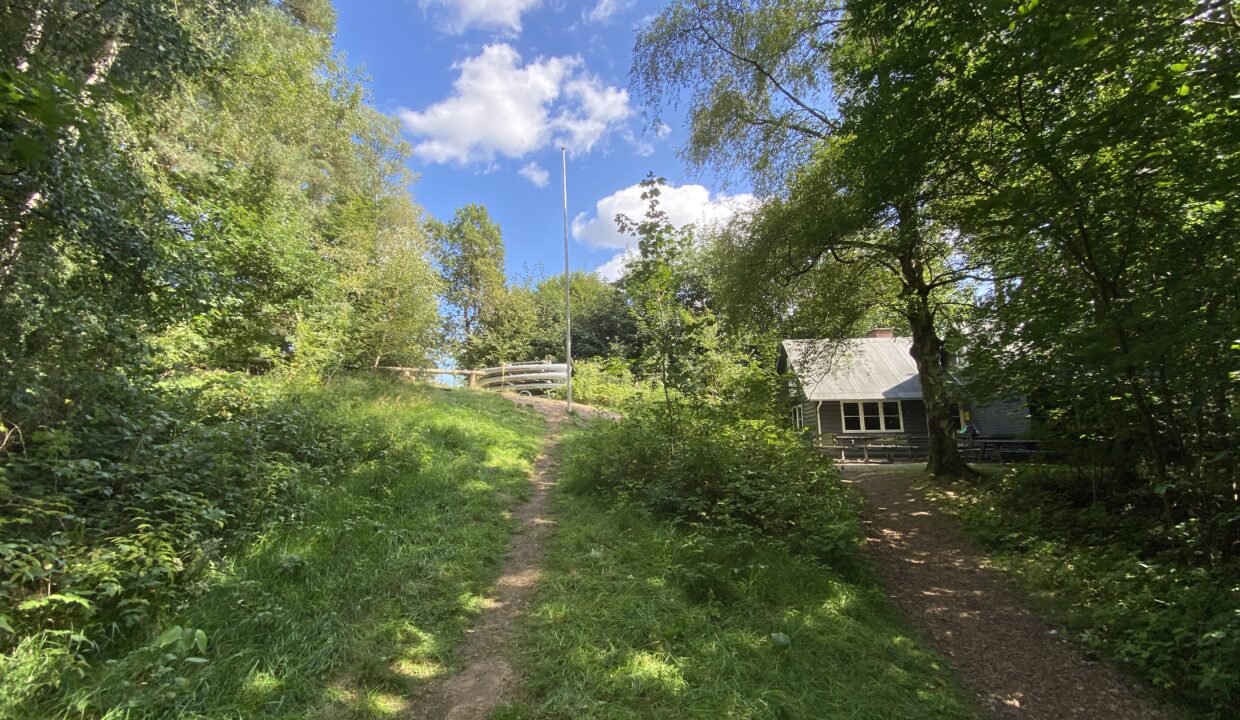 20210822_115509140_iOS