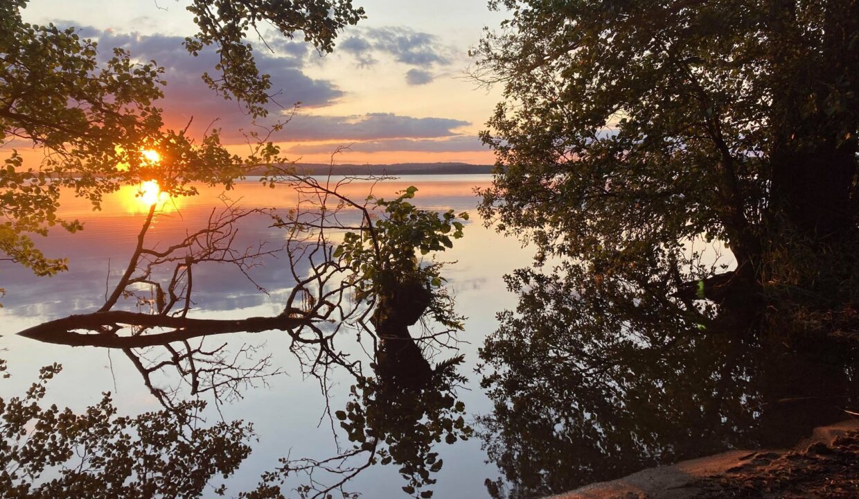 233732205_529778441574847_7749196529027888184_n