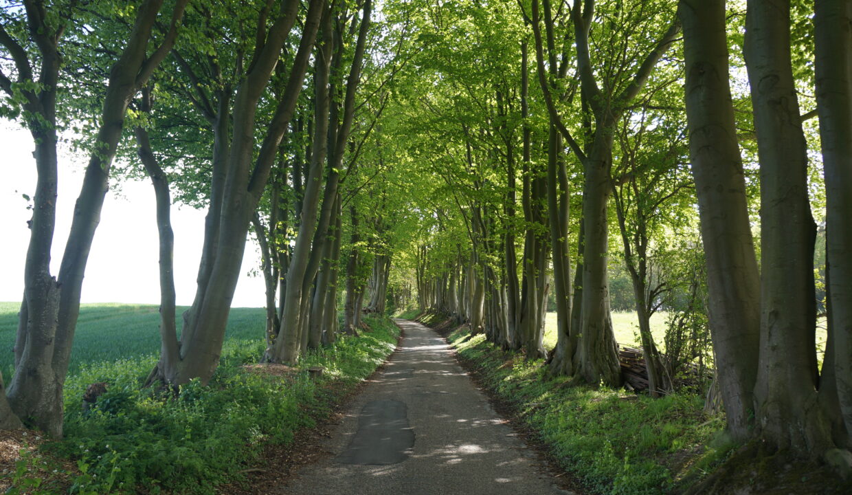 2A01D6A7-E241-42F7-99B2-F225B4F7BAFF