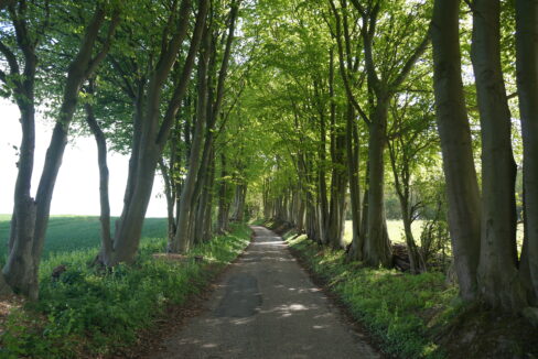 2A01D6A7-E241-42F7-99B2-F225B4F7BAFF