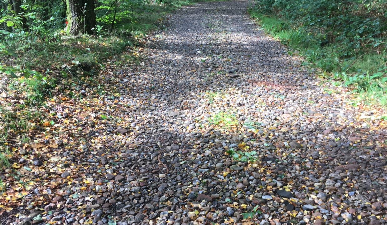 511387BC-12AA-4BE4-A645-32DC6C1BBD10