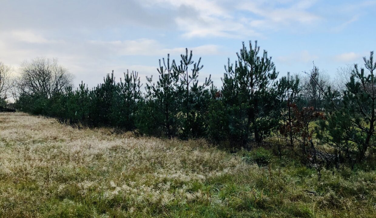 92317B90-A0B1-4CA4-B3FD-66ABE934D666