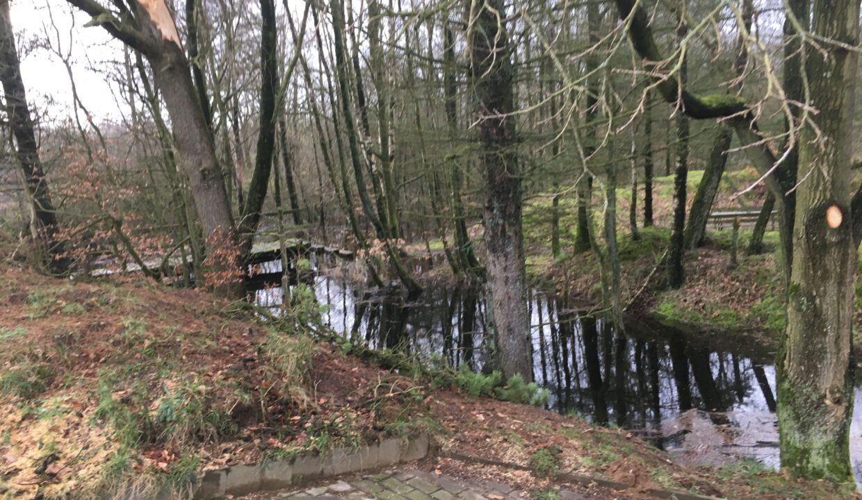 92516447-B819-42BC-A49F-201C61062E39