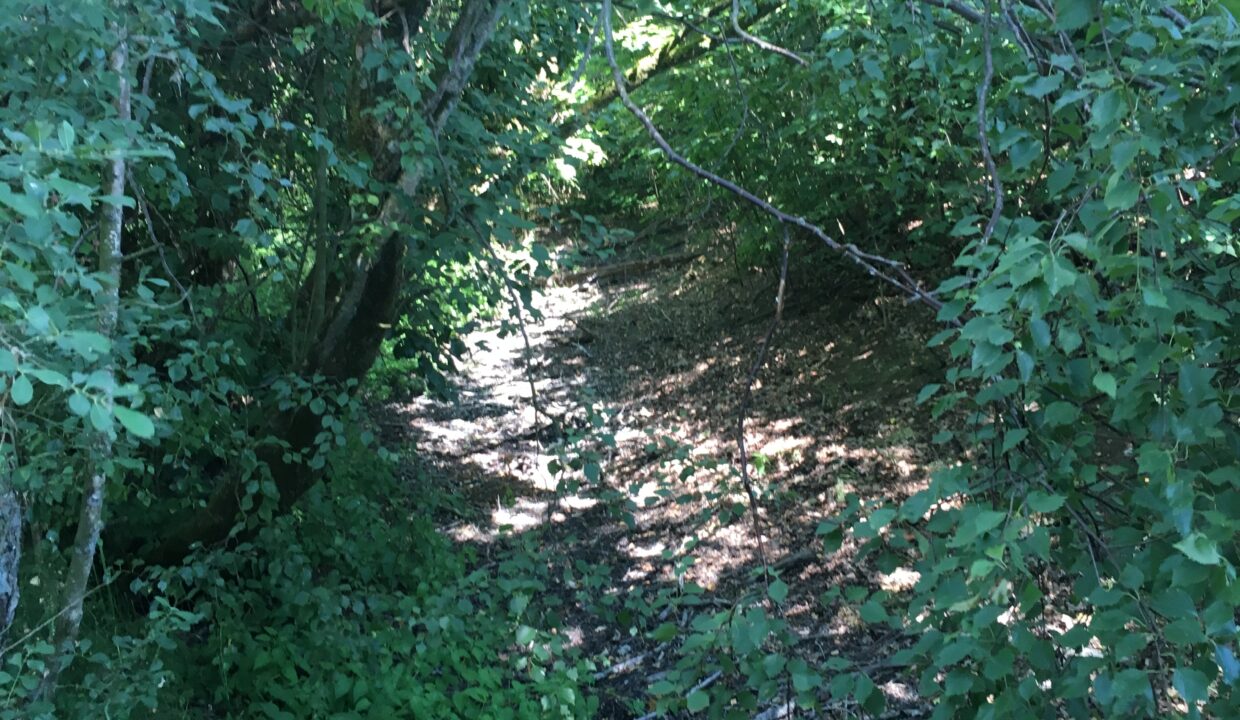 CC3A1963-AEB0-48FB-8943-02D1CE93DA64