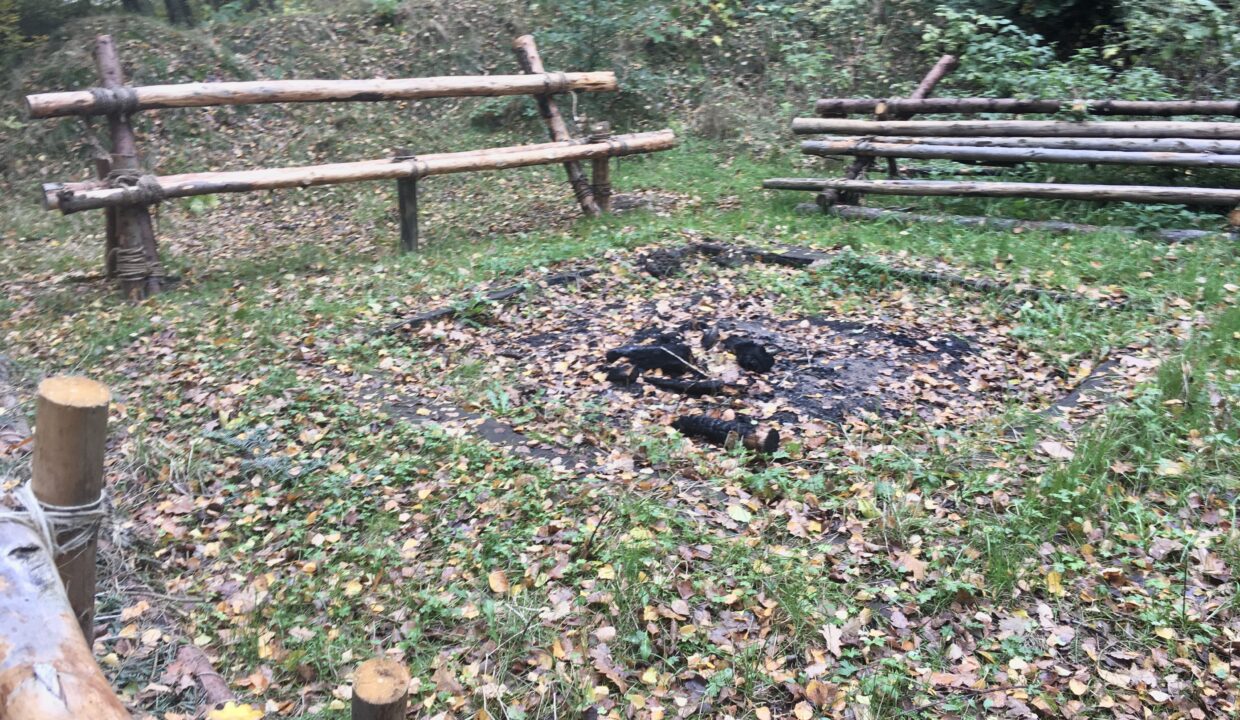 D2AE29E5-D487-4AAA-A934-1C195EFDC7A9