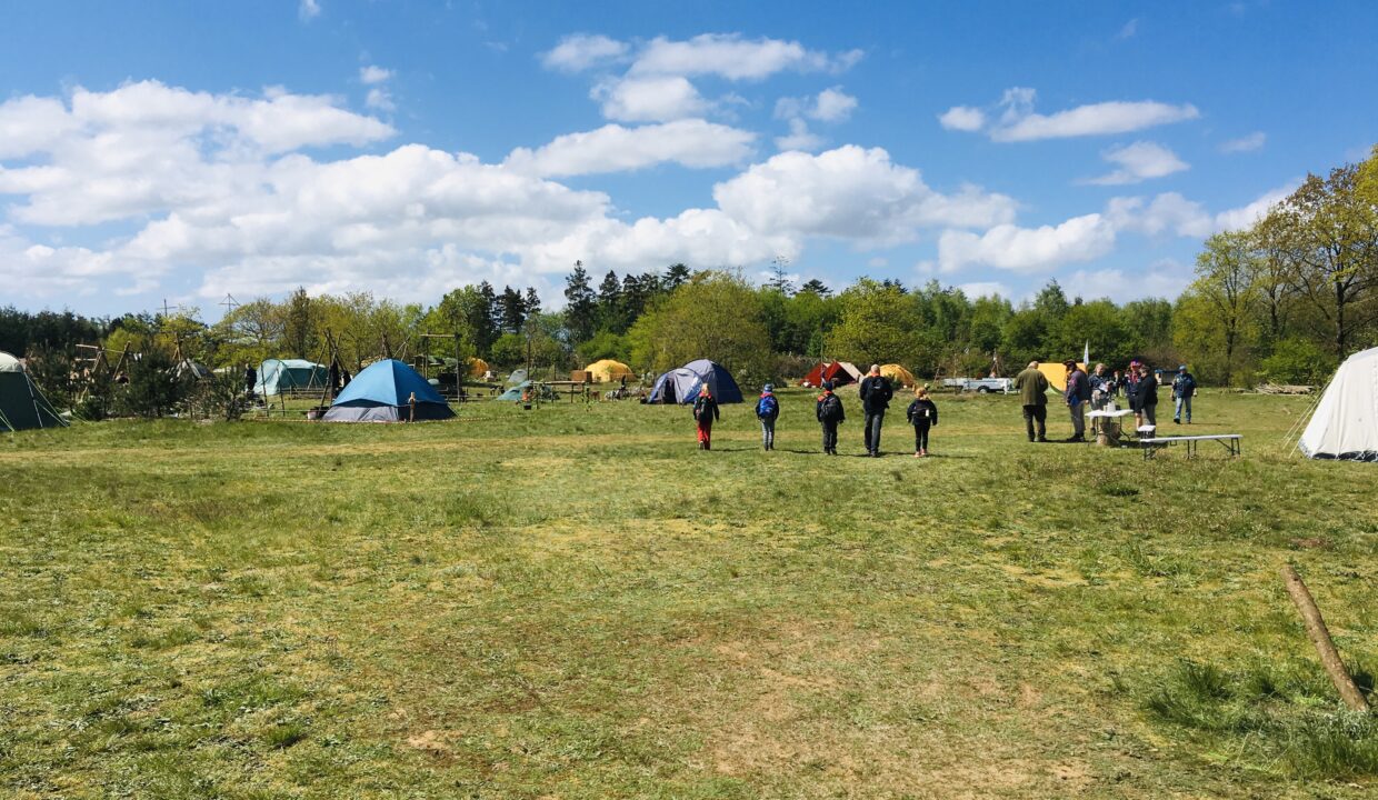 E55E0E5D-4C3D-4495-8F0A-16A2AF0144D5