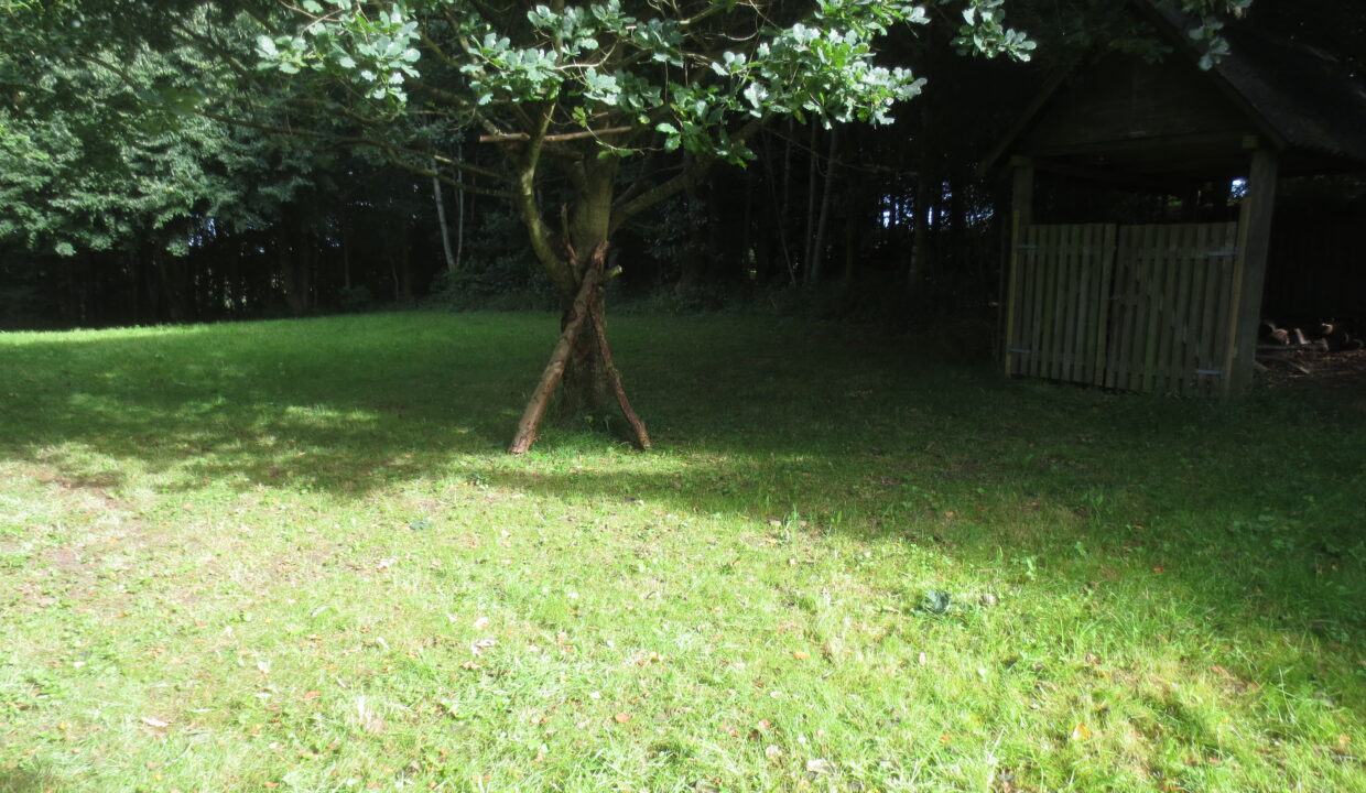 Sortenkær 2017 august (11)