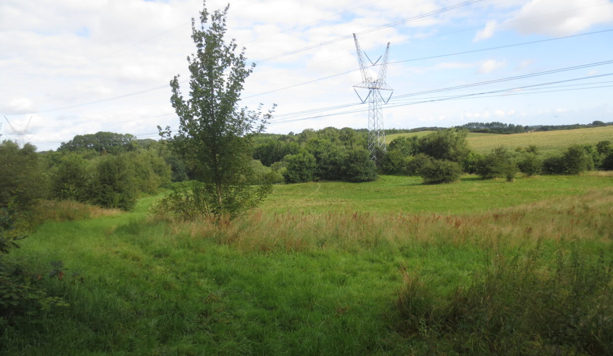 Sortenkær 2017 august (13)