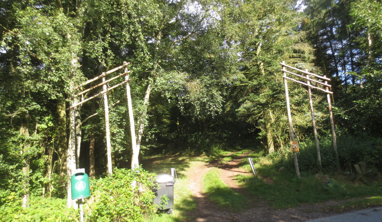 Sortenkær 2017 august (2)