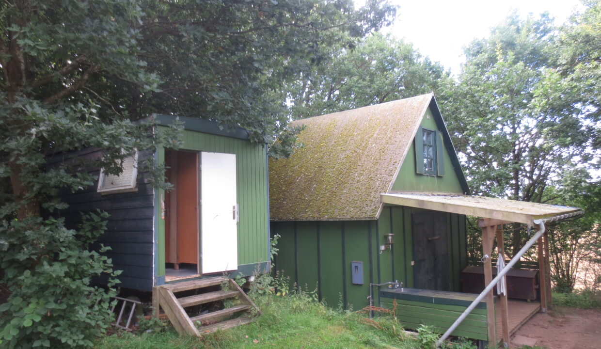 Sortenkær 2017 august (3)