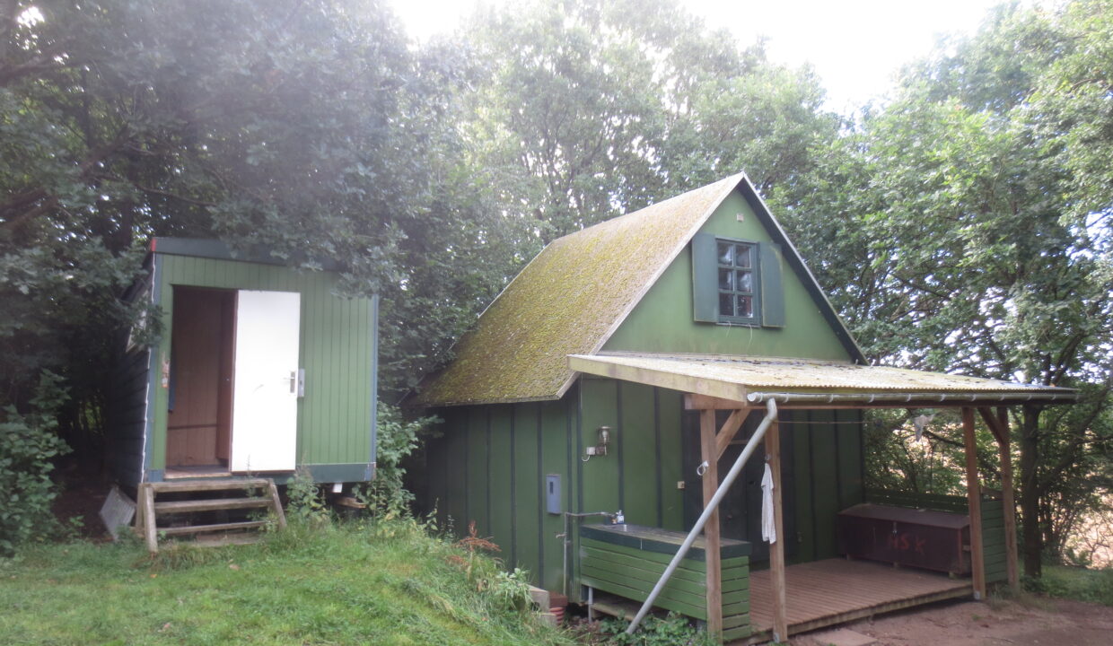 Sortenkær 2017 august (4)