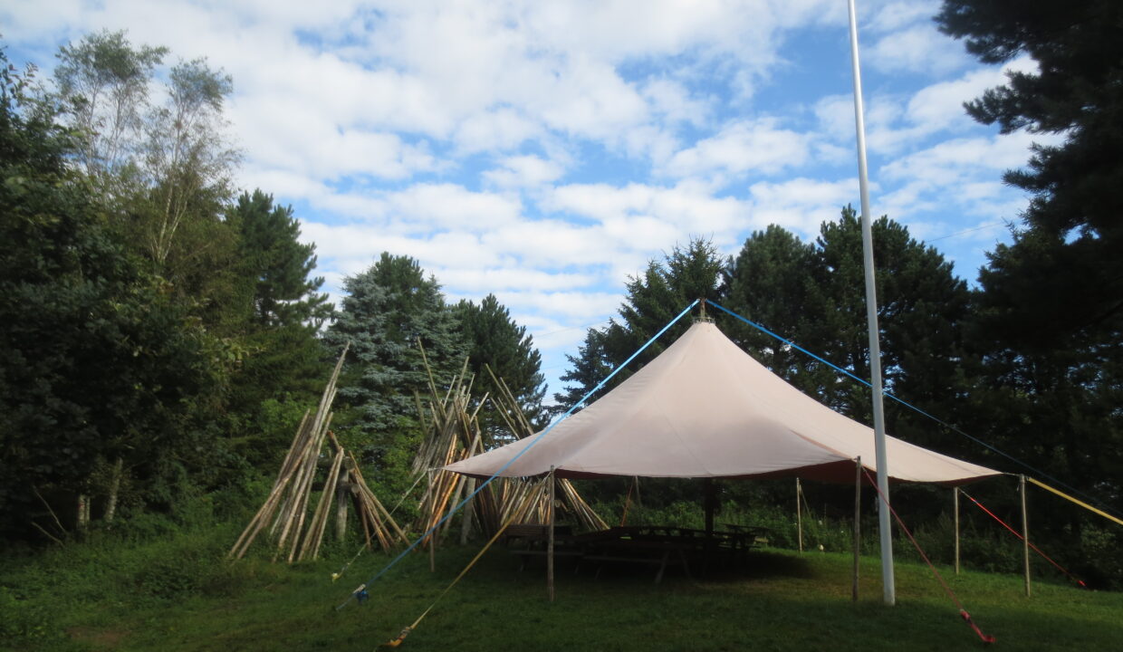 Sortenkær 2017 august (5)