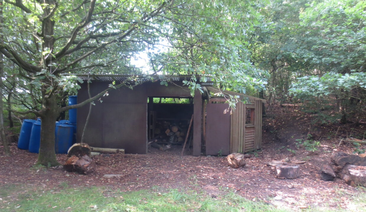 Sortenkær 2017 august (7)