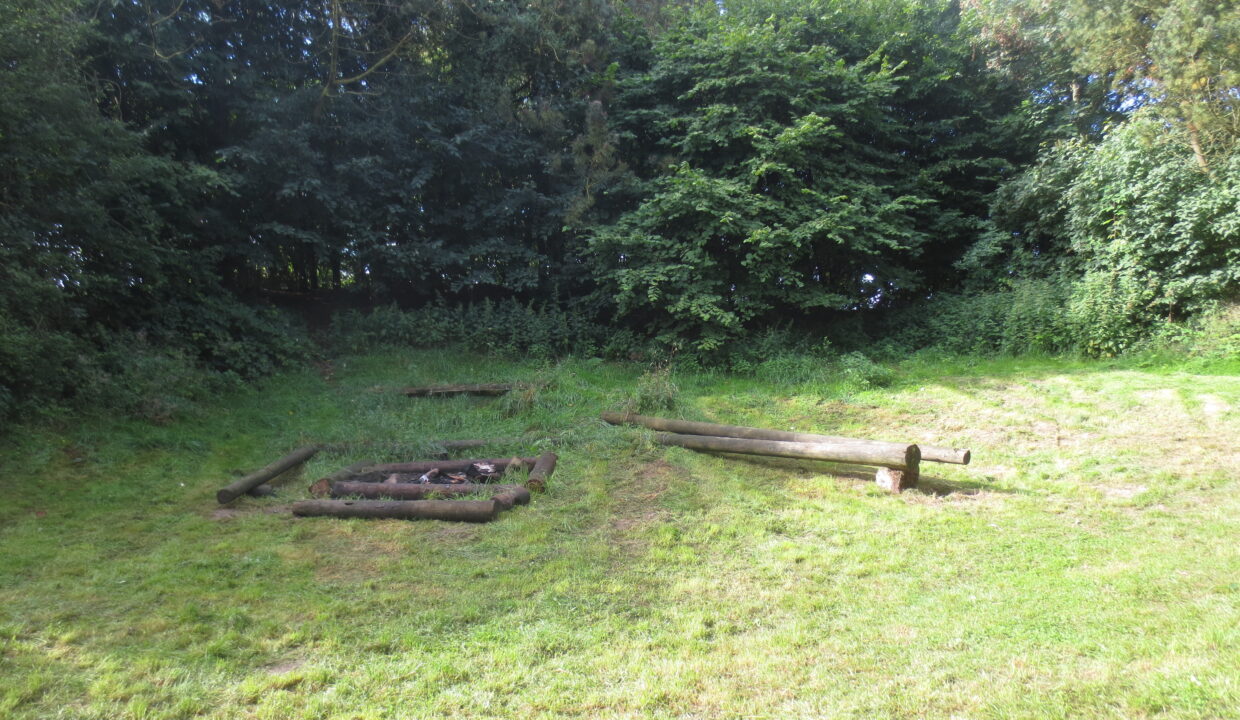 Sortenkær 2017 august (8)