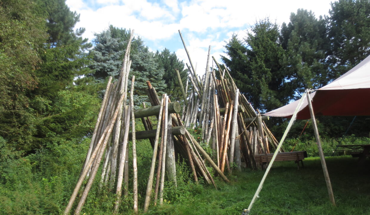 Sortenkær 2017 august (9)