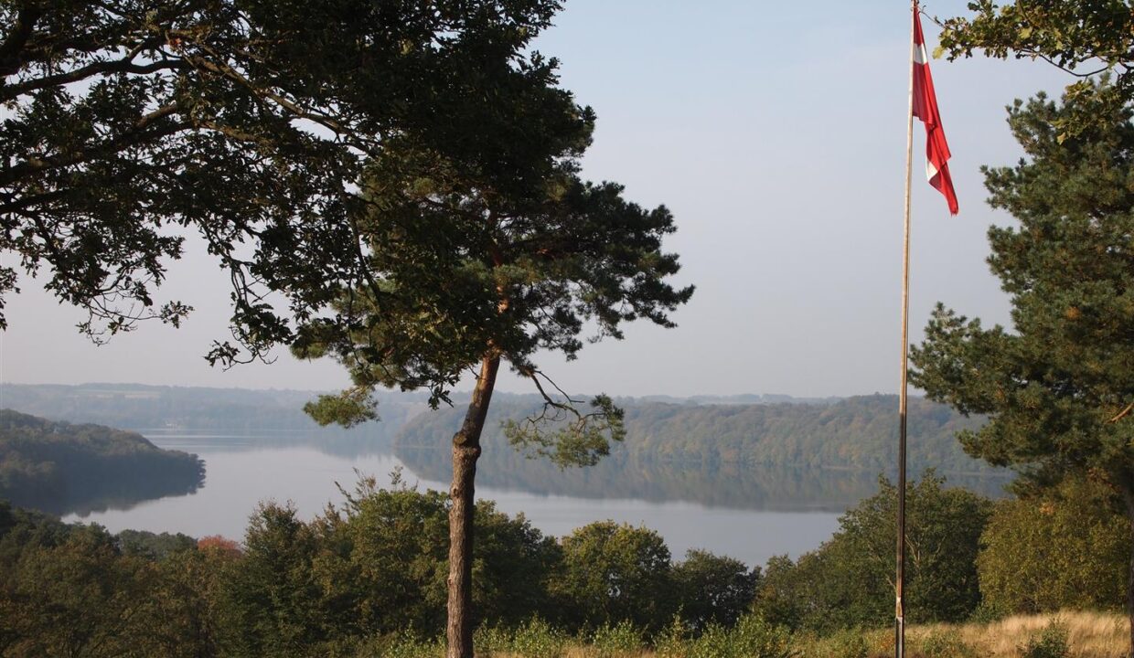 Udsigt over Hald Sø