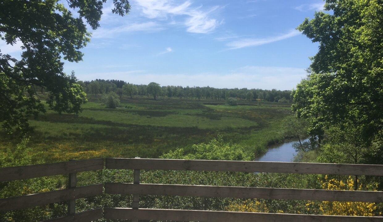 Udsigten over Skjern Å dalen.