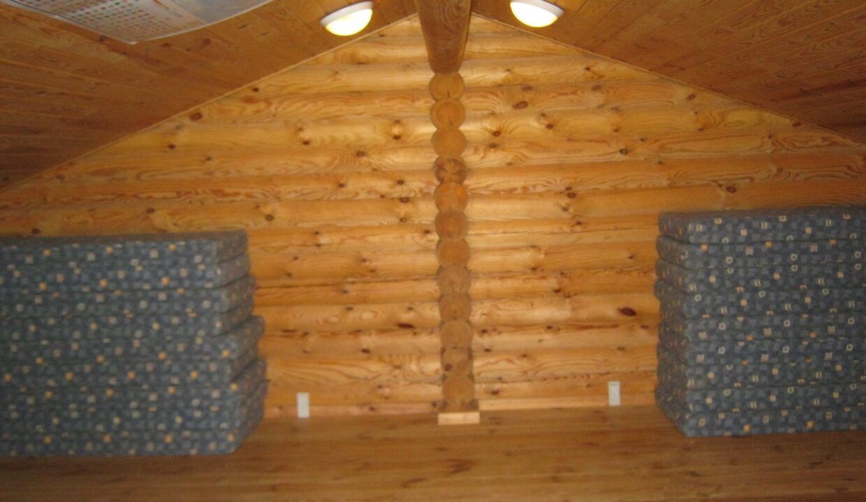 bleskoven billede 11