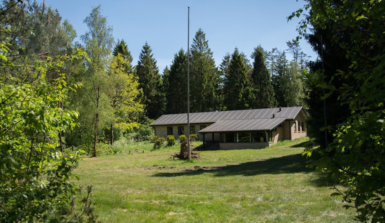 oksedal