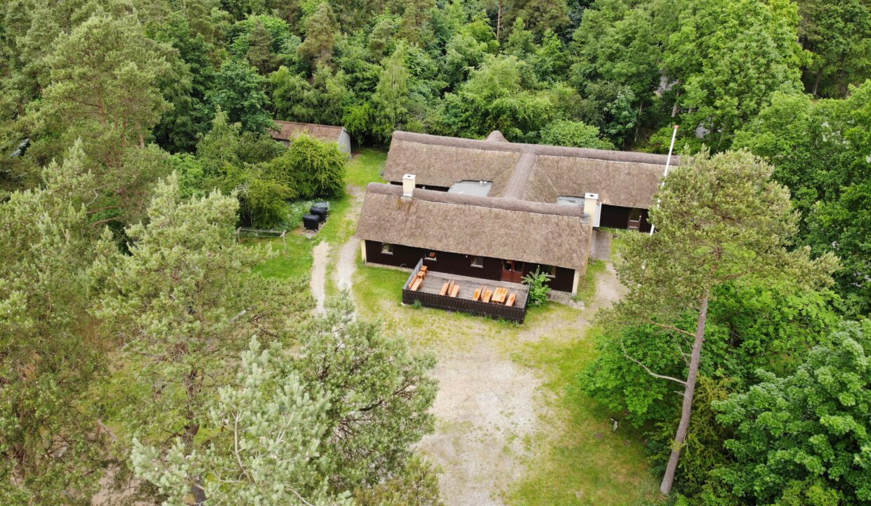 03 Skovhuset fra luft